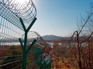 north korean barbed wire